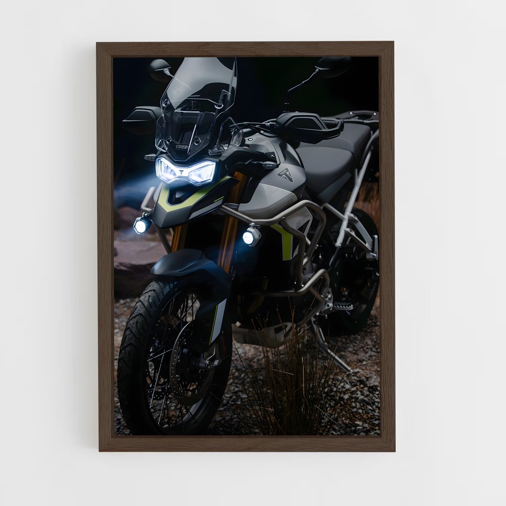 Poster Félin Éblouissant 900 – affiche Triumph (vue 5)